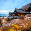 Melhor altura para visitar Quioto