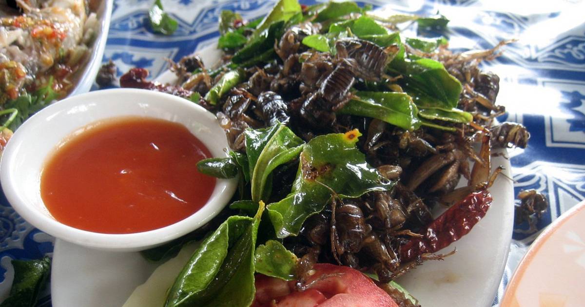 Edible Insects in Laos - Best Time