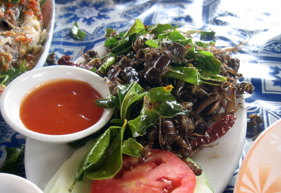 Edible Insects in Laos - Best Time