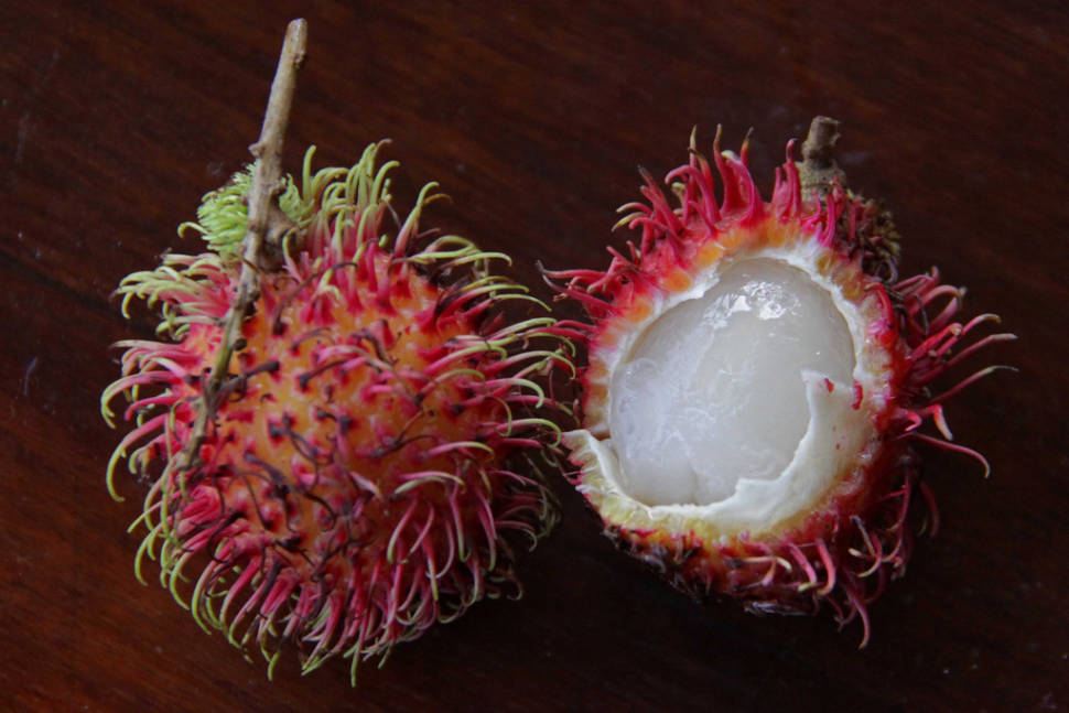 Rambutan
