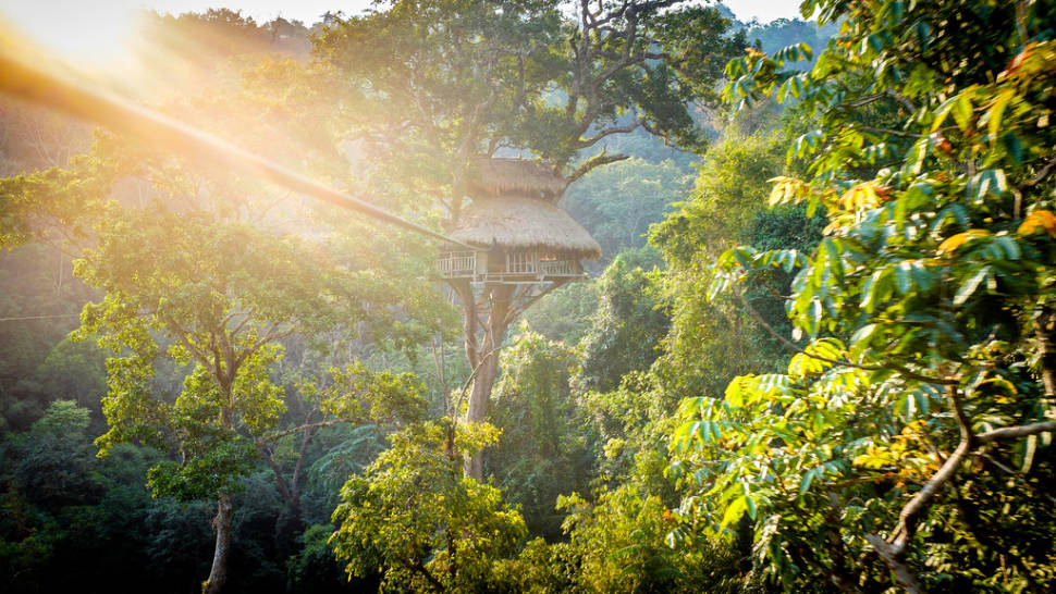 The canopy hut