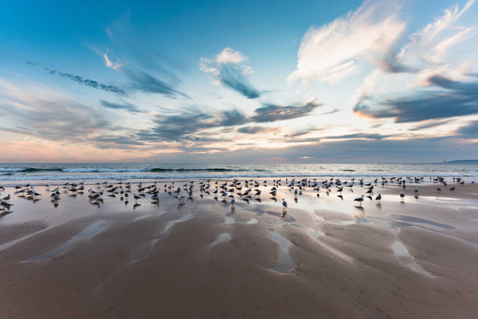Arriba Fóssil da Costa de Caparica Protected Landscape in Lisbon - Best Season