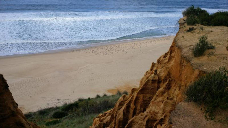 Arriba Fóssil da Costa de Caparica Protected Landscape in Lisbon - Best Time