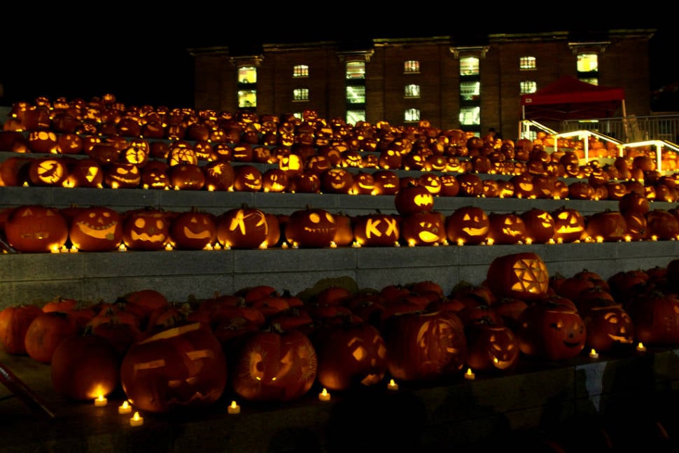 The King's Cross pumpkins by night
