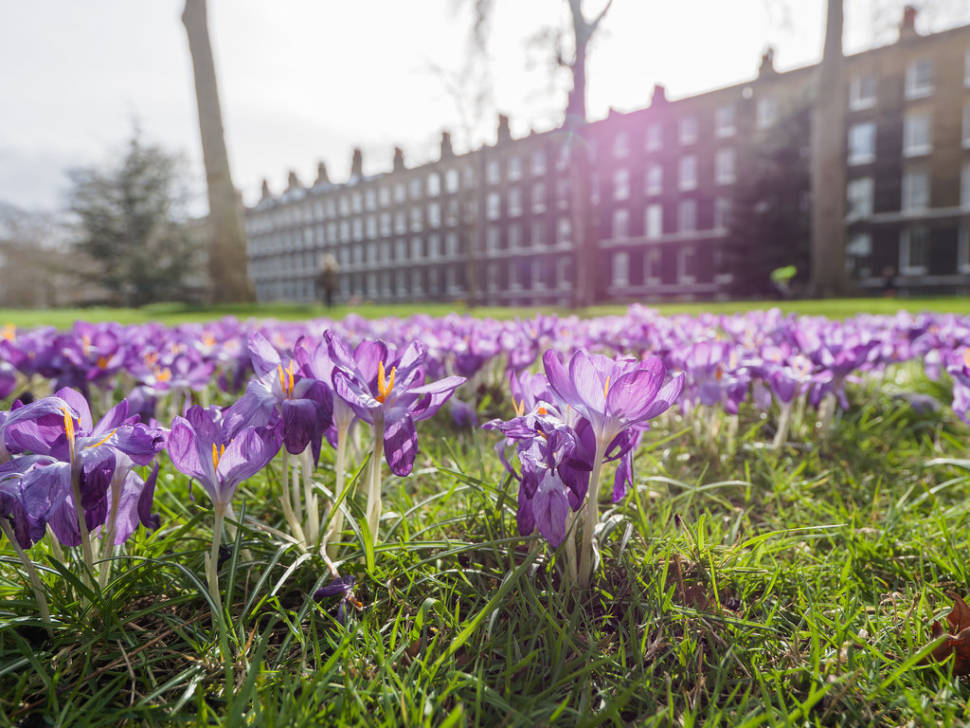 Spring in London - Best Season