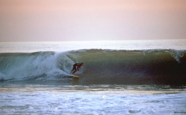 Surfing in Los Angeles - Best Time