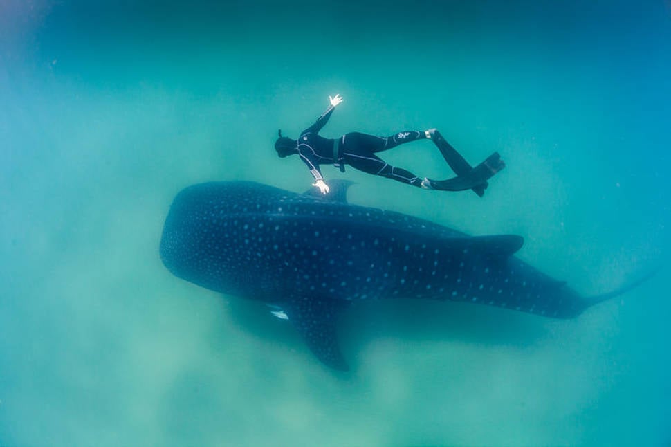 Diving in Madagascar - Best Time
