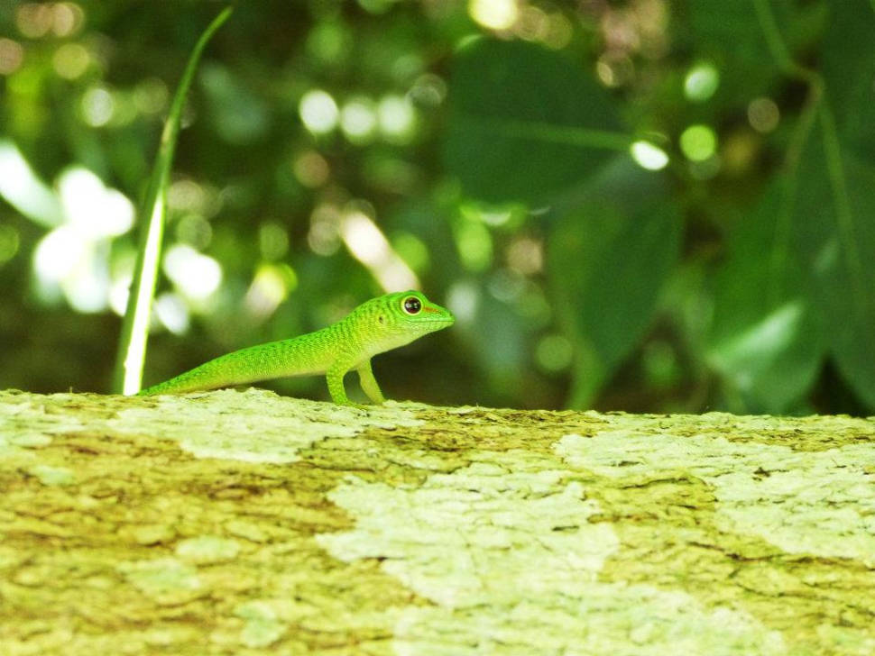 Dry Season in Madagascar - Best Season