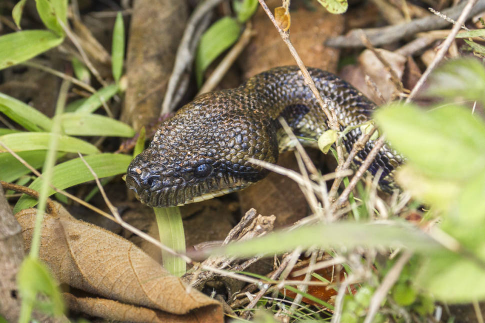 Best time for Dry Season in Madagascar