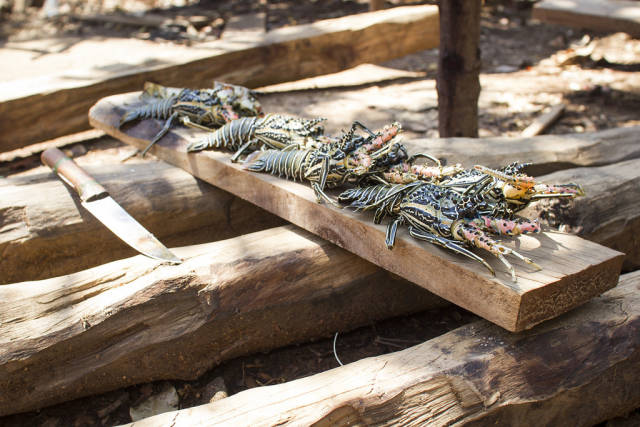 Lobster Season in Madagascar - Best Season