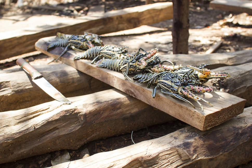 Lobster Season in Madagascar - Best Season