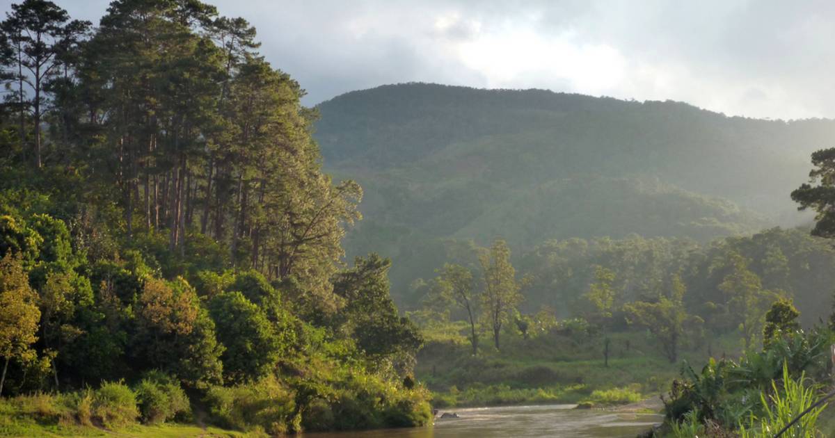 Best time for Hot Springs and Waterfalls of Ranomafana National Park in ...