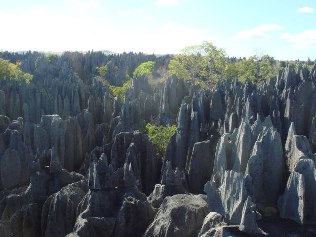 Stone Forest Tsingy de Bemaraha in Madagascar - Best Season