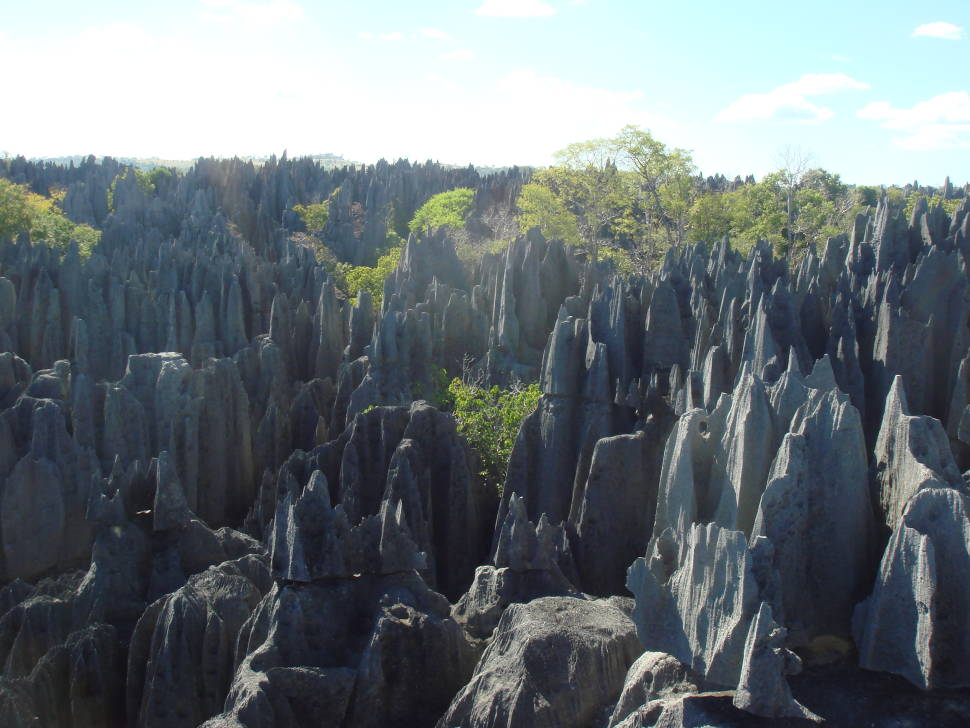 Stone Forest Tsingy de Bemaraha in Madagascar - Best Season