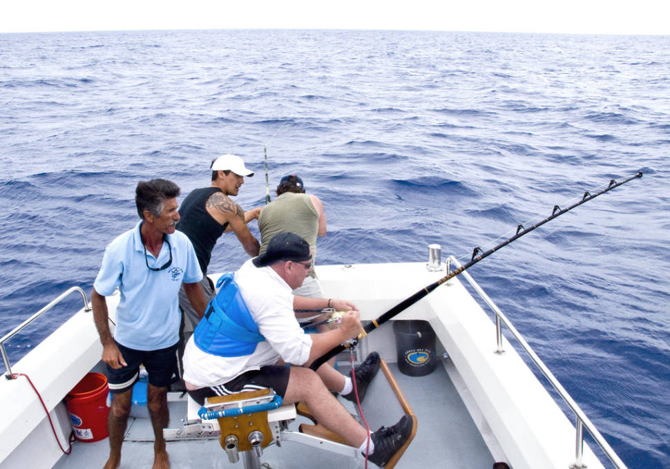 Fishing Blue Marlin in Madeira - Best Season