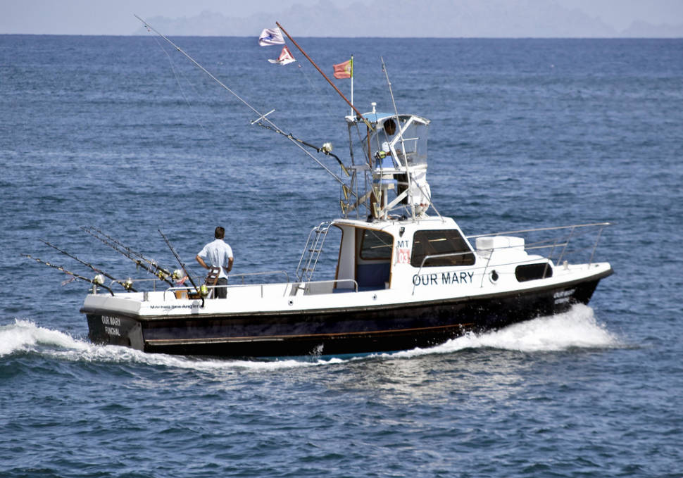 Best time for Fishing Blue Marlin in Madeira