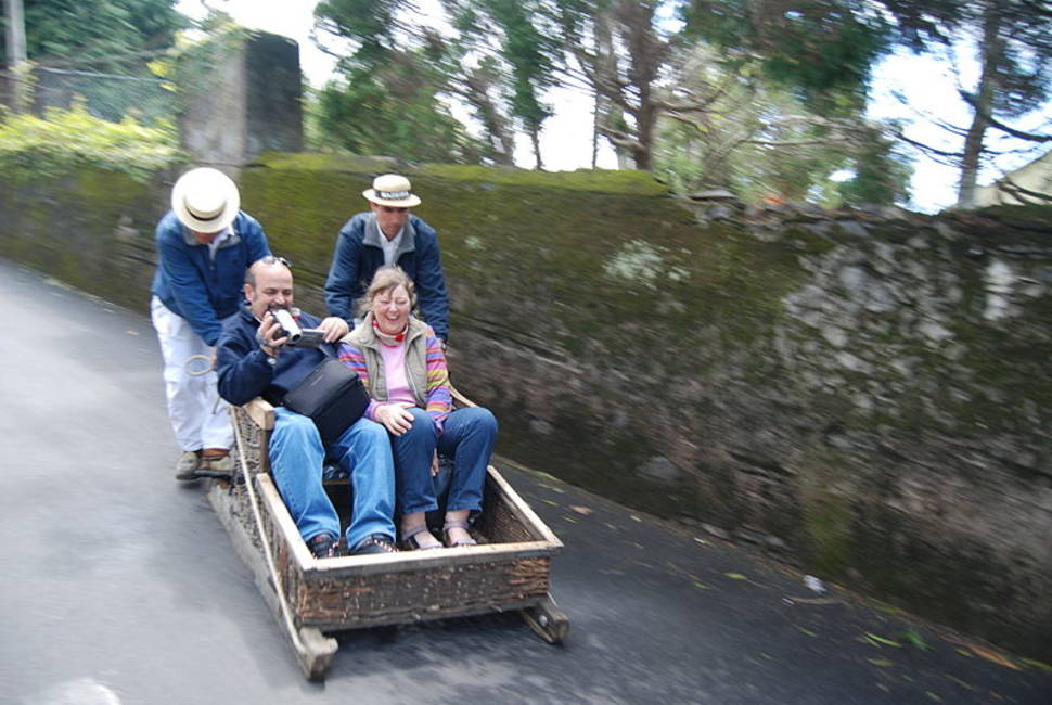 Toboggan Ride in Madeira - Best Season