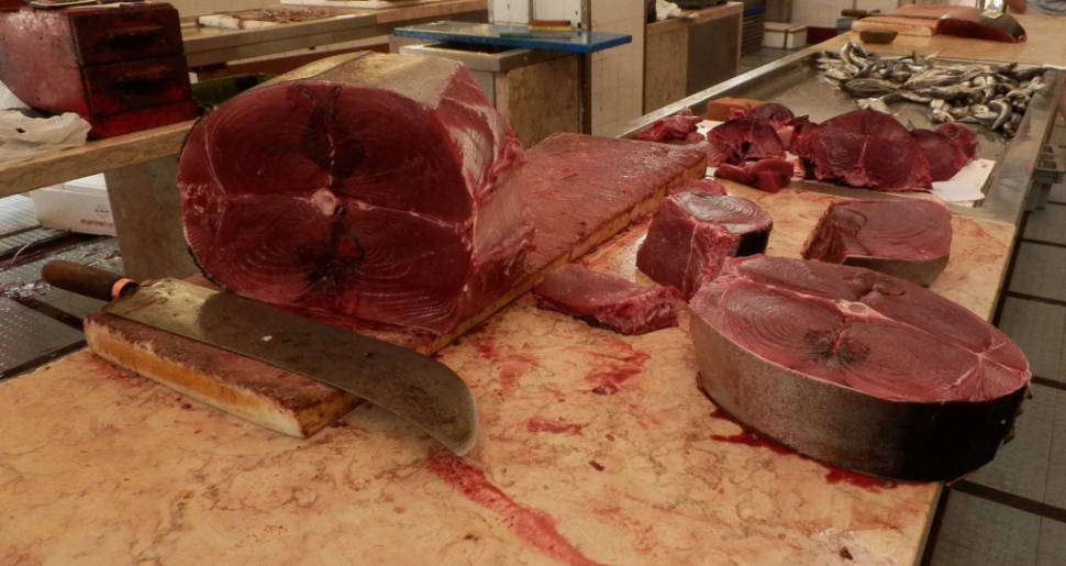 Best time for Tuna Steak in Madeira