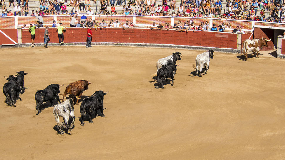Best time for Bullfighting (Corrida de Toros)