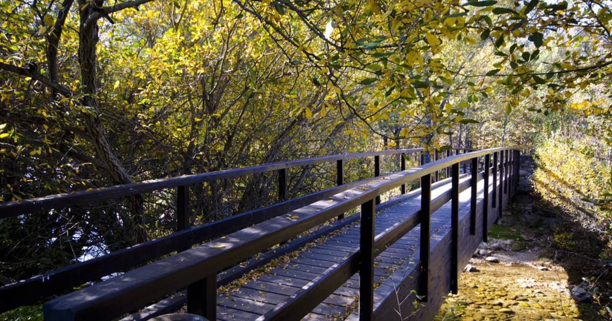 Cotos Forest Trail, Rascafría in Madrid - Best Time