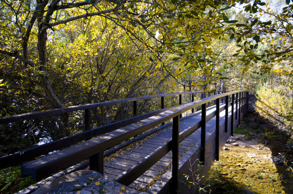 Cotos Forest Trail, Rascafría in Madrid - Best Time