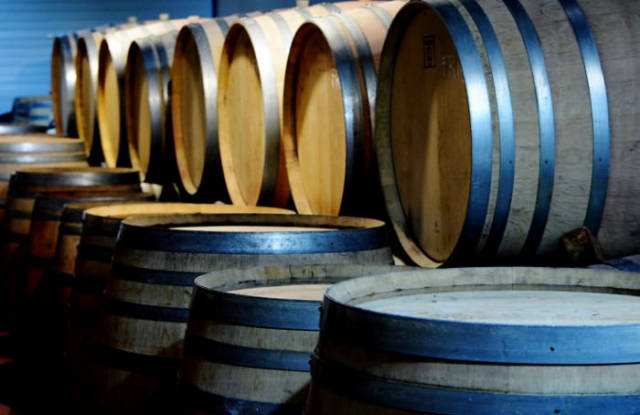 Best time for Grape Harvest in Madrid