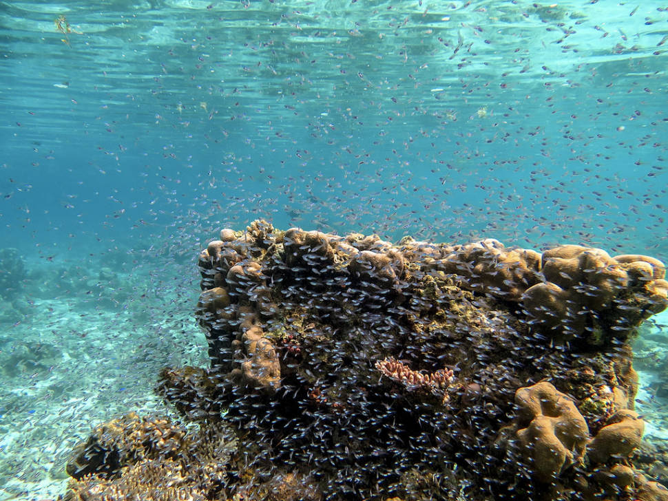 Mataking Island Reef Dive Resort