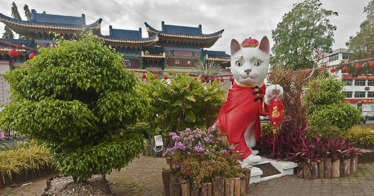 Kuching Cat City in Malaysia - Best Time