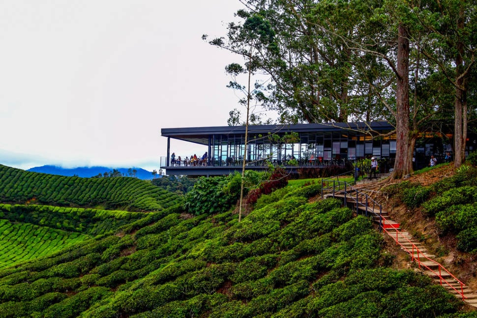 BOH tea plantation viewing Deck, Cameron Highlands