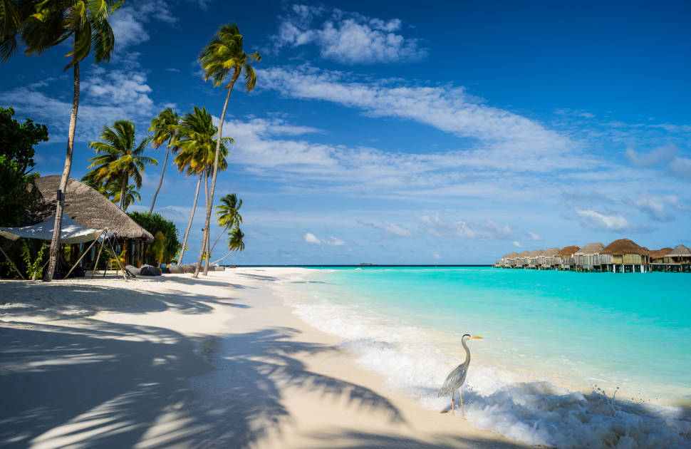 Best time for Beach Season in Maldives