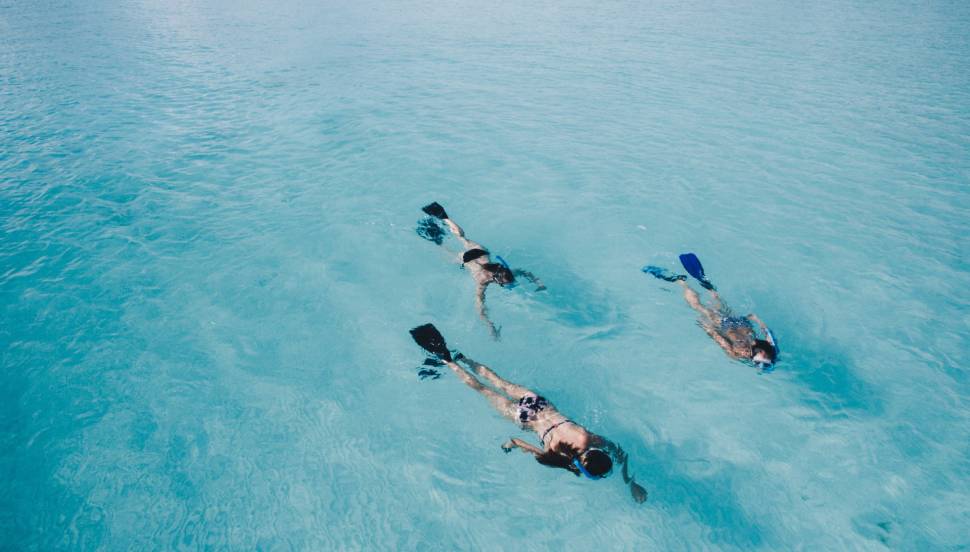 Scuba Diving & Snorkeling in Maldives - Best Time