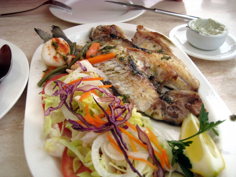 Dolphin Fish in Mallorca - Best Time