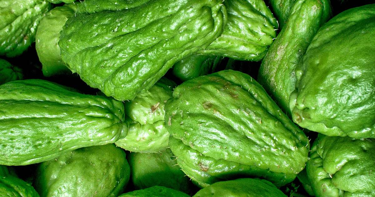 Chayote in Malta - Best Time