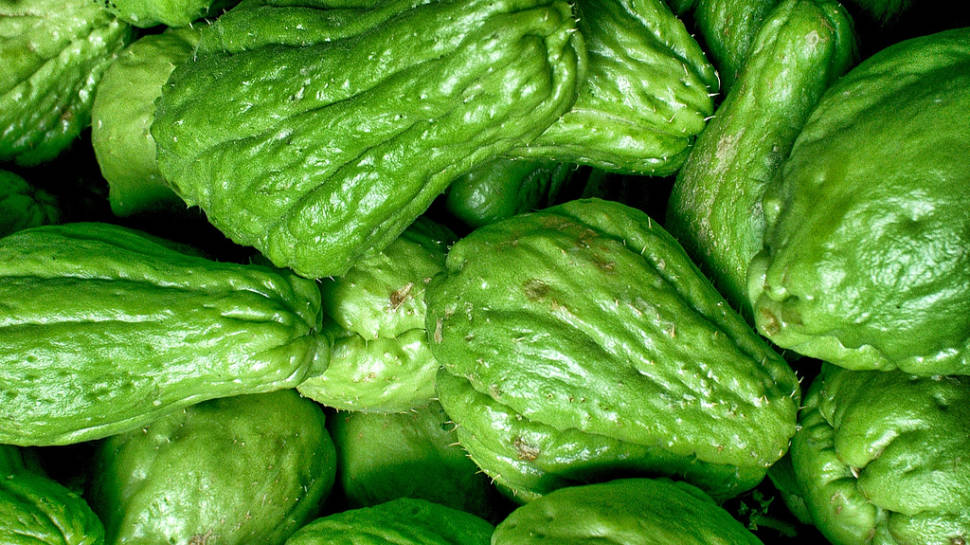 Chayote in Malta - Best Time