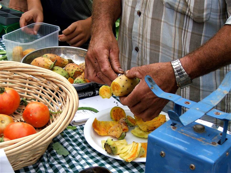 Best time for Prickly Pear in Malta