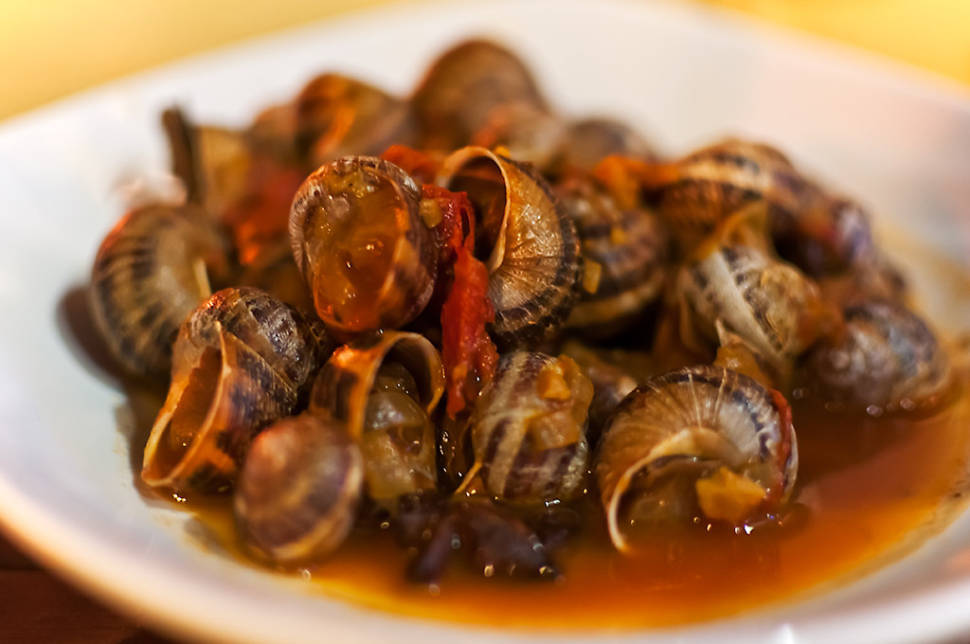 Snail Season in Malta - Best Season