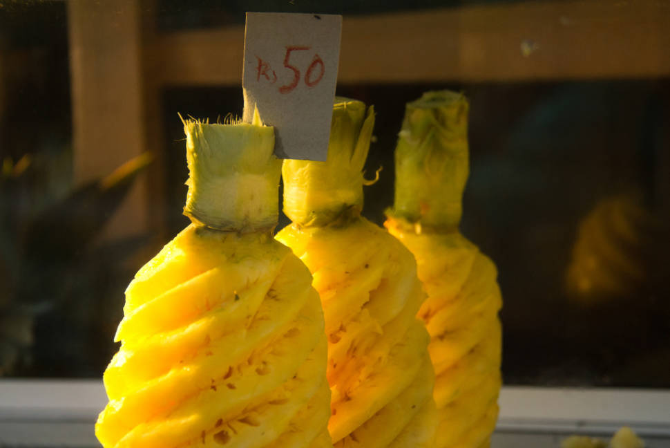 Best time for Pineapple Season in Mauritius