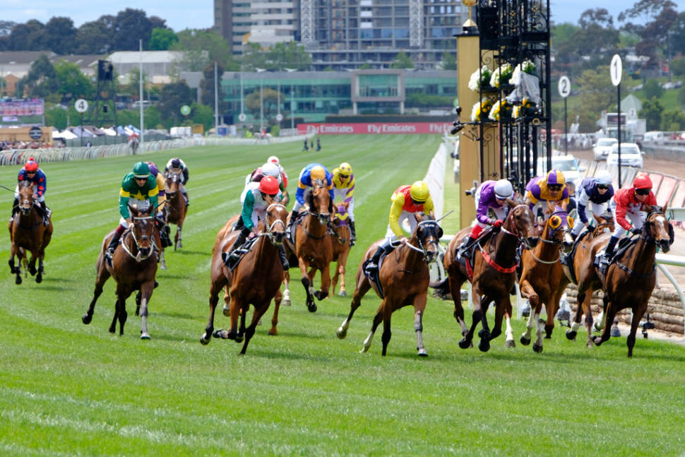 Melbourne Cup in Melbourne - Best Time