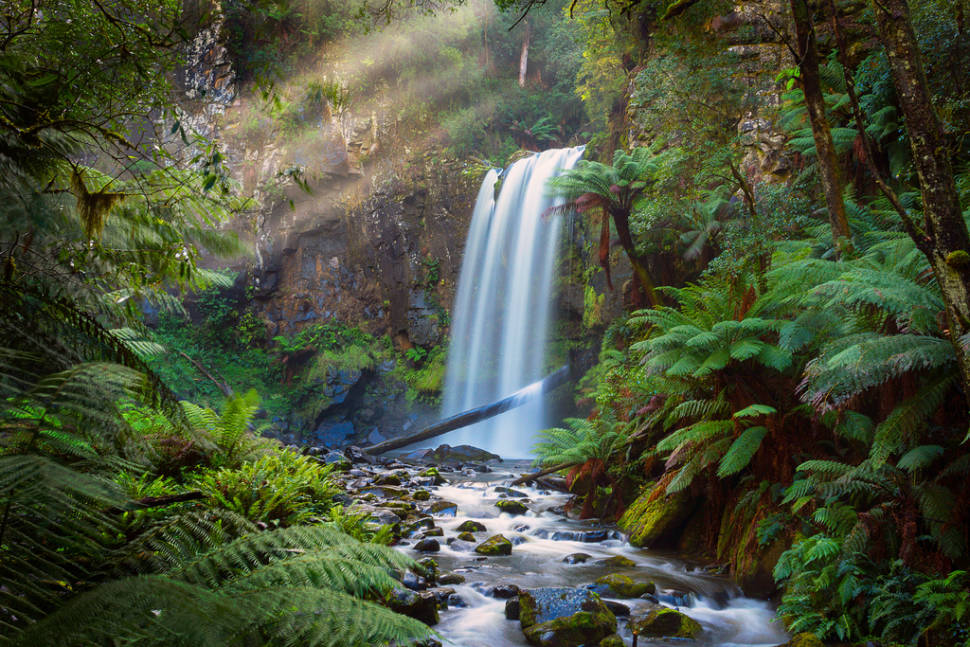 Sunrays above Hopetoun Falls