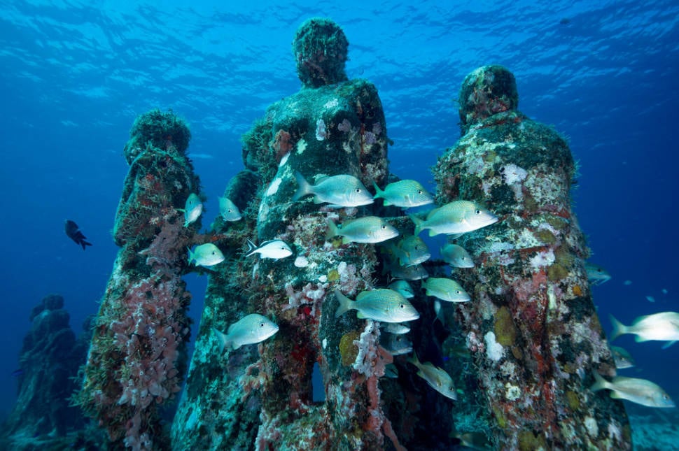 Diving on Isla Mujeres, MX, August 2015