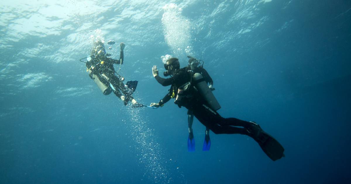 Diving in Mexico - Best Time
