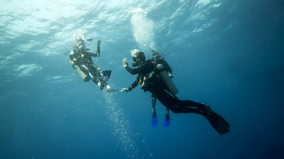 Diving in Mexico - Best Time