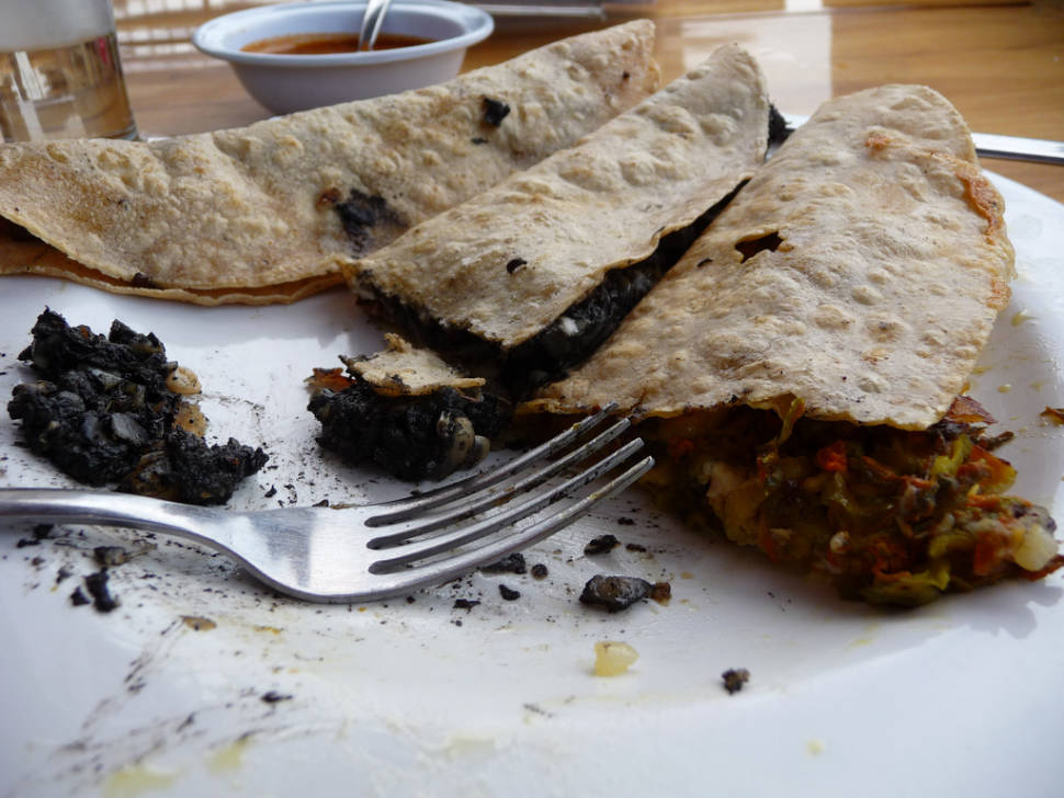 Best time for Huitlacoche or Corn Smut in Mexico