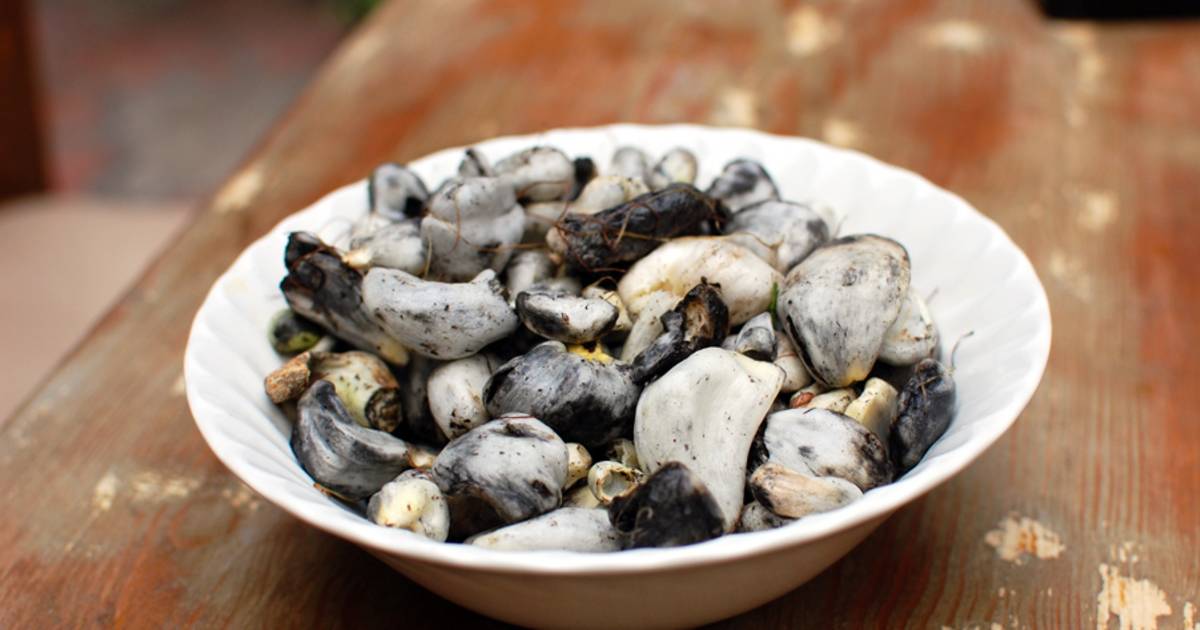 Huitlacoche or Corn Smut in Mexico - Best Time