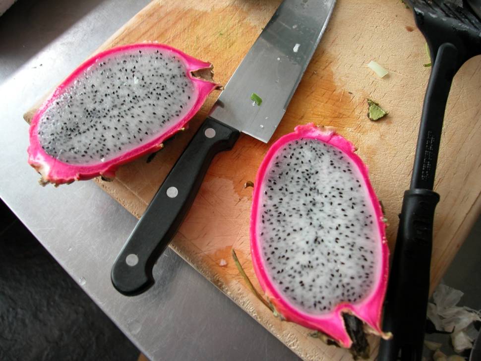 Dragon Fruit or Pitaya in Mexico - Best Season