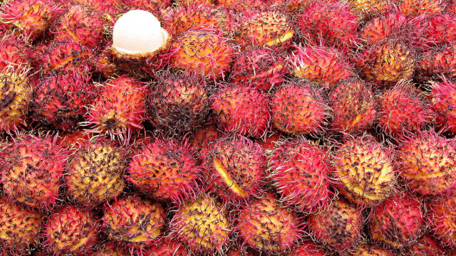 Rambutans in Mexico - Best Time