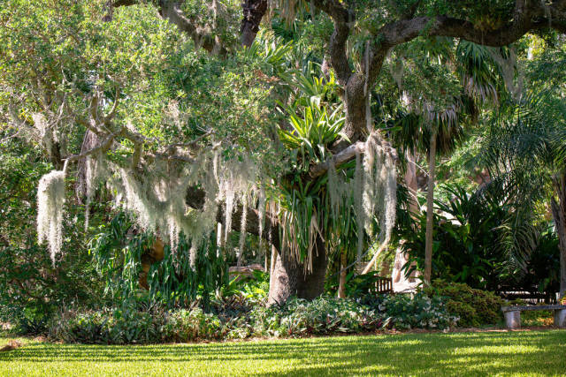 The Kampong in Miami - Best Season