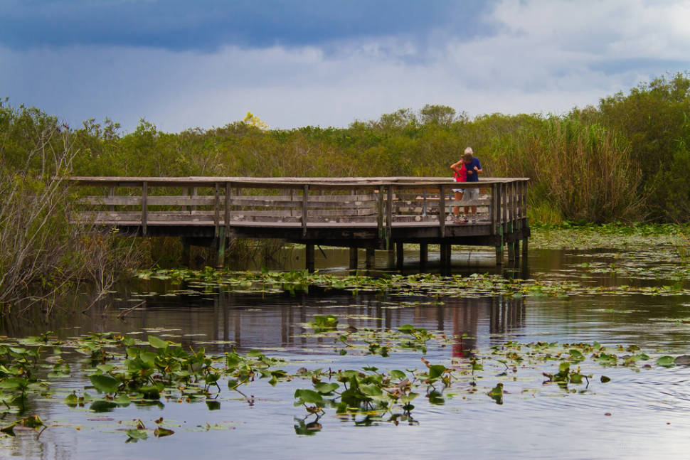 Best time for Everglades Boating Adventure in Miami