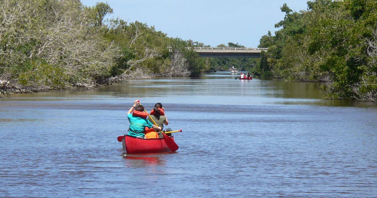 Everglades Boating Adventure in Miami - Best Time