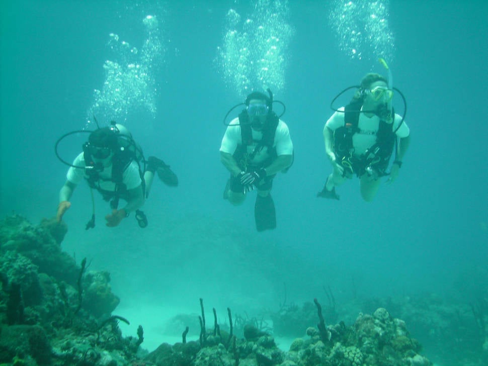 Best time to see Scuba Diving and Snorkeling in Miami